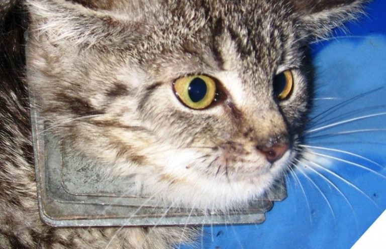 Jej cierpienie już się skończyło