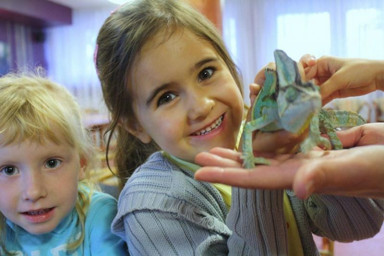 Węże, pająki i roboty z klocków