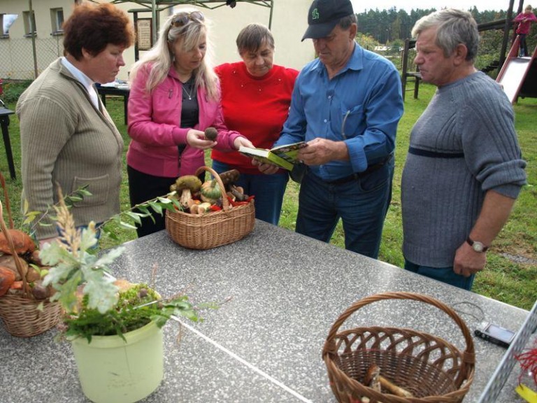 Grzybobranie w Kłopotowie