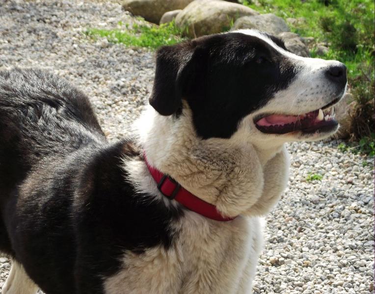 Czy ktoś jej szuka?