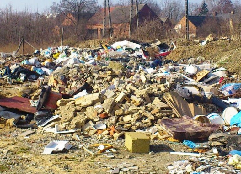 Strażnicy mobilizują do sprzątania