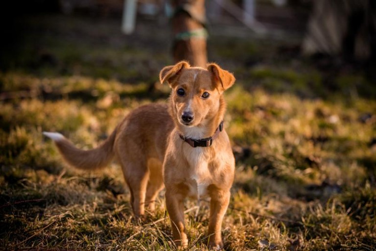 Potrzebują odmiany losu