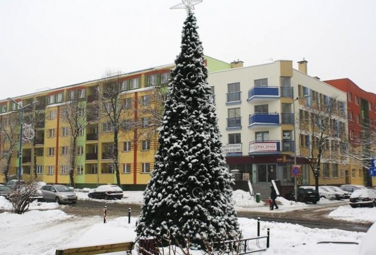 Kto świeci najpiękniej, zdecydują internauci