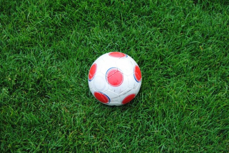Liga na trawie