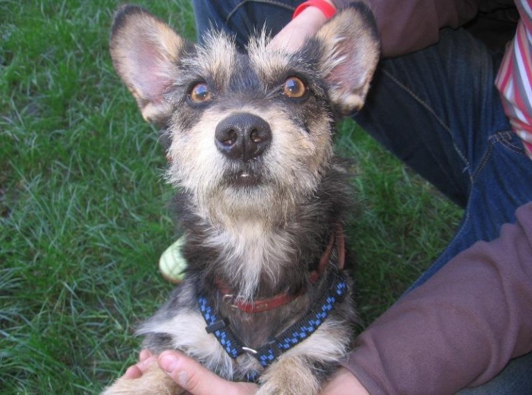 Pewnie komuś uciekła