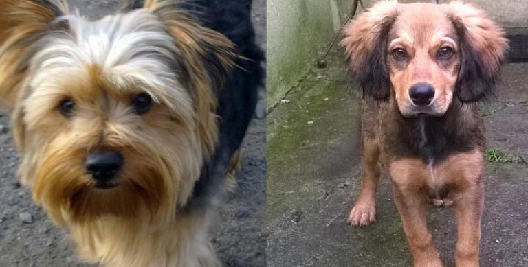 Jeden szuka, drugi jest szukany