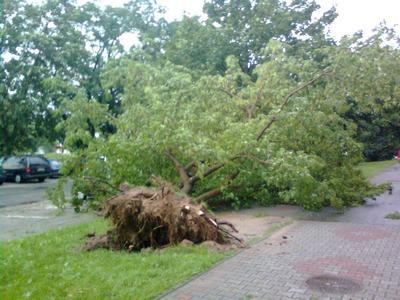 Wielkie dzięki naszym Czytelnikom