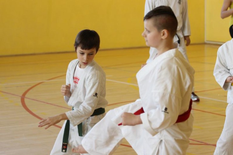 Integracyjne karate