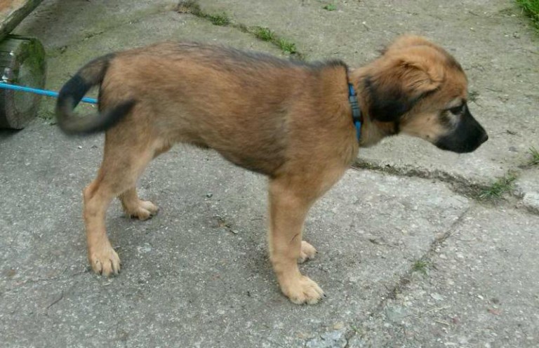 Dziś warto o nich pomyśleć