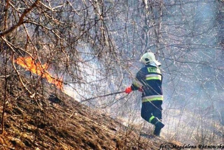 Pożarowa plaga trwa