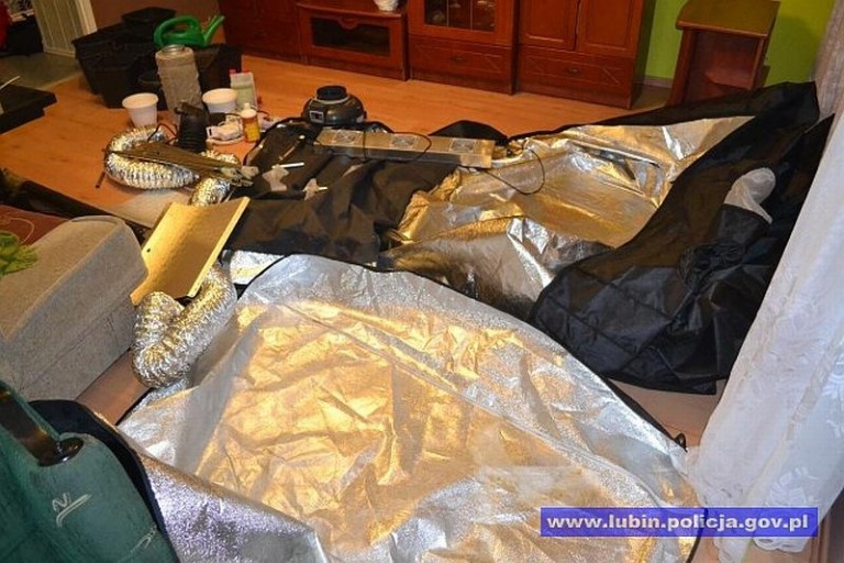 Wynajął mieszkanie, by uprawiać narkotyki