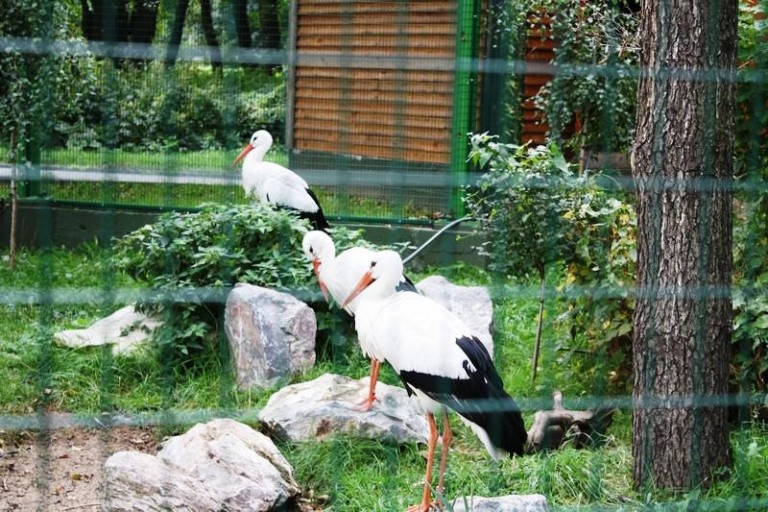 Będzie jak w ogrodzie botanicznym