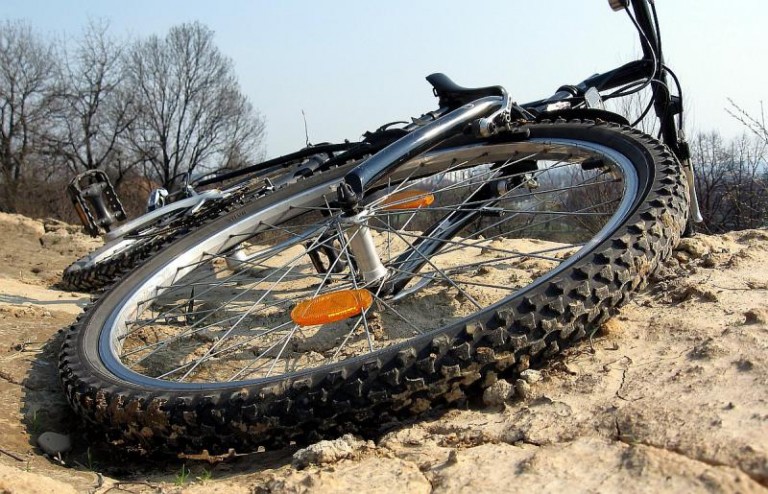 Jeden kradł, drugi sprzedawał