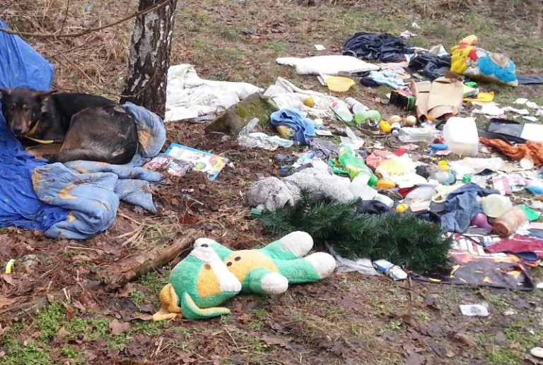 Wyrzucili śmieci razem z psem