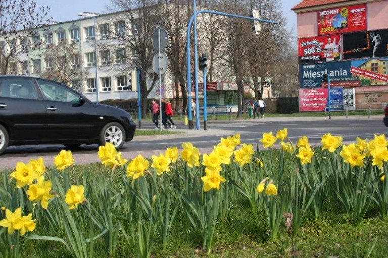 Bólu odrobinę mniej