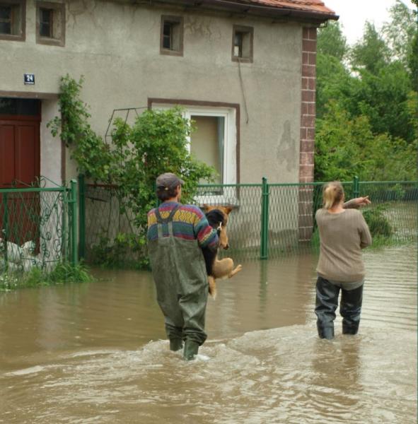 Ścinawa. Liczą straty, wyciągają wnioski