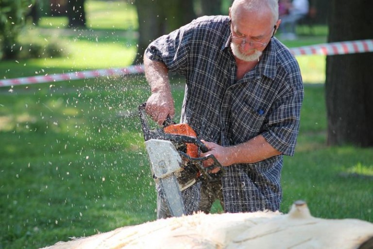 W parku ryczą piły
