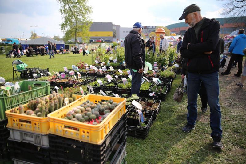 Po majówce. Tysiące odwiedzających