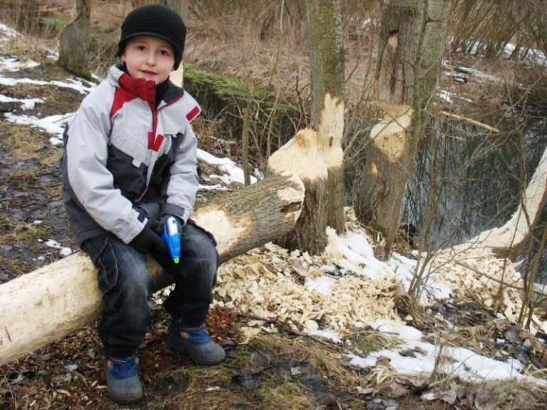 Polubiły nasze bagno