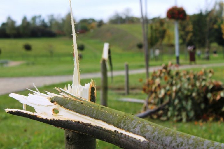 Lipny wybryk wandala