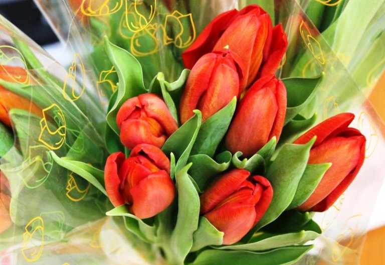 Konkurs i życzenia dla pań