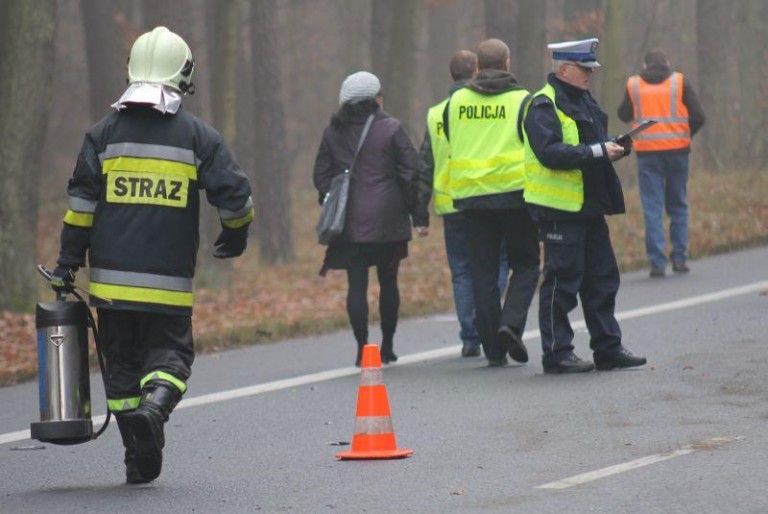 Strażacy coraz częściej przy wypadkach