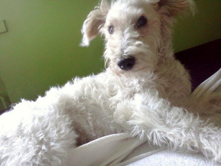 Szukają już miesiąc