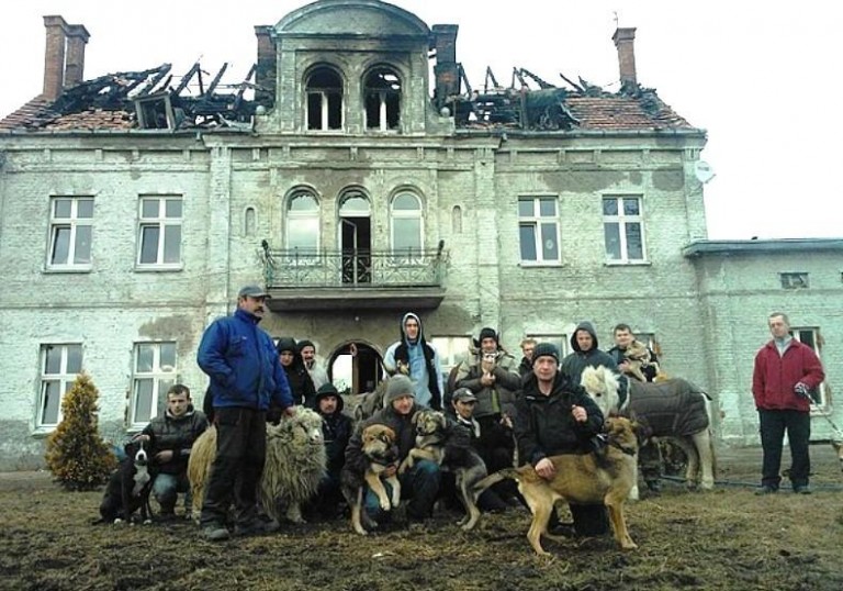 Pogorzelcy proszą lubinian o pomoc