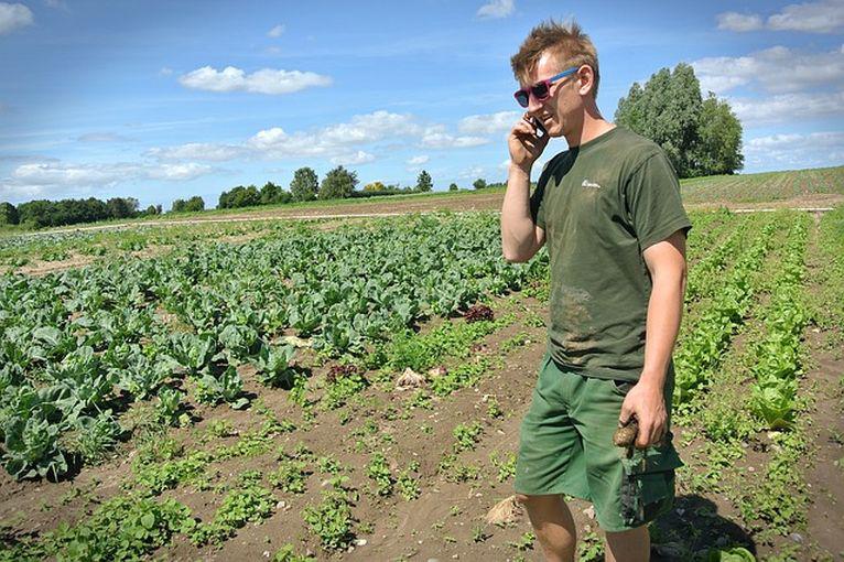 GUS przeprowadzi badania wśród rolników