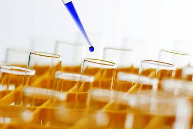 Śmiertelna grypa i dobre jedzenie