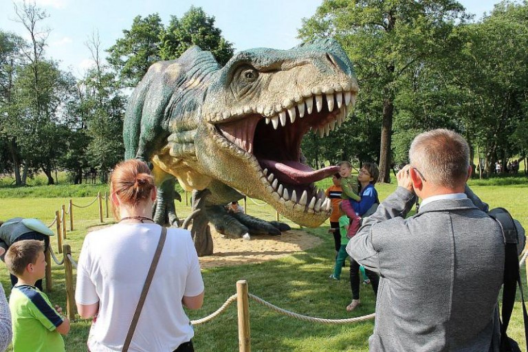 Noc w parku Wrocławskim