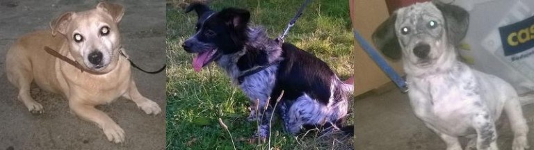 Czy ktoś ich szuka?