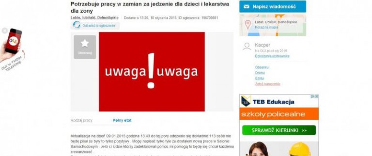 Poruszające ogłoszenie. Praca za jedzenie i leki