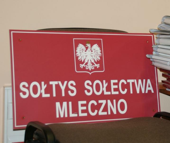 Wsie stawiają na panie