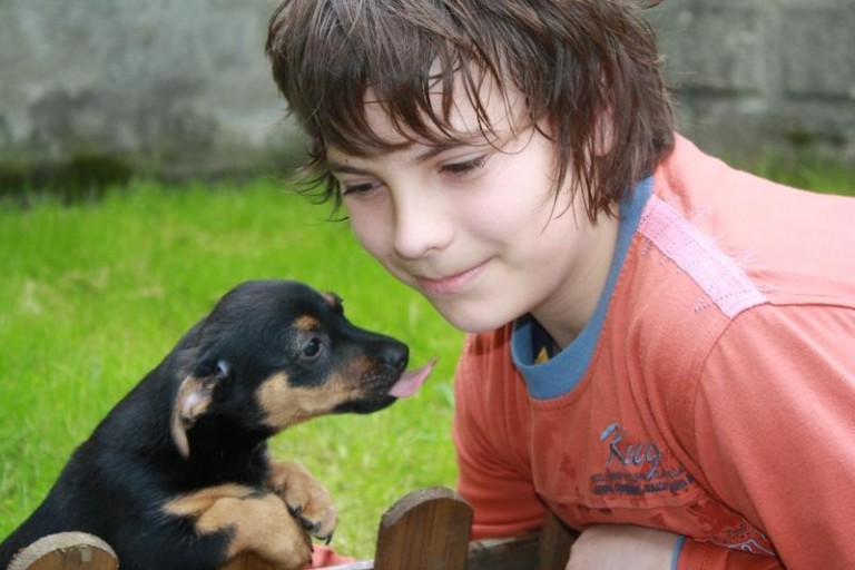 Kwalifikacje w zamian na pomoc