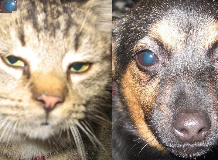 Odmieńmy ich smutny los