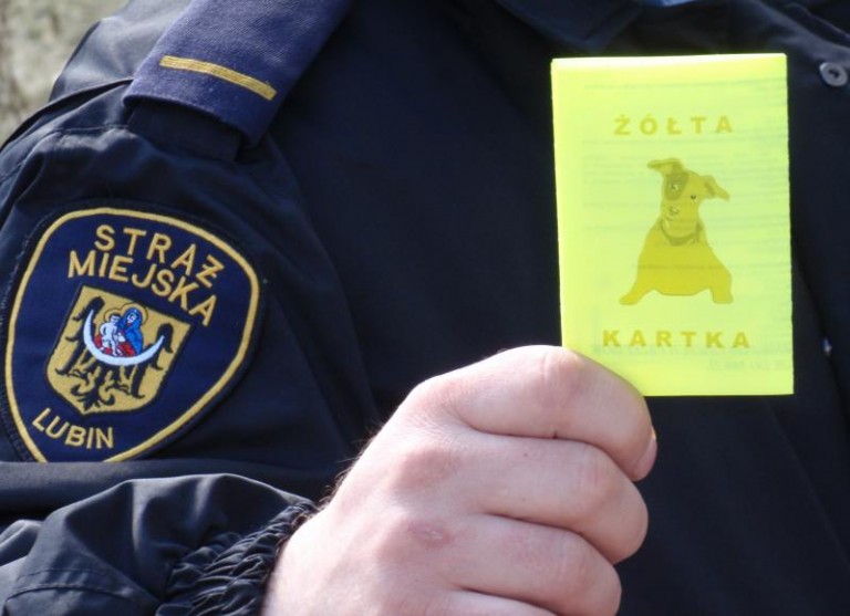 Lubinianie sprzatają po swoich psach
