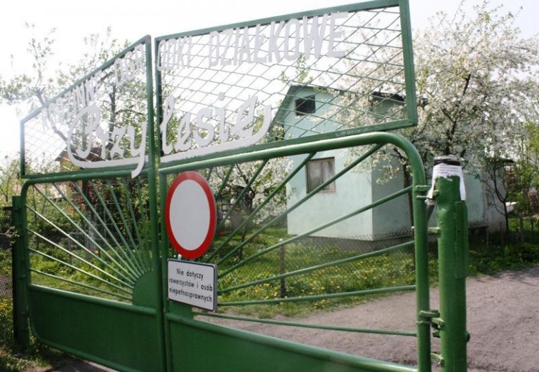 Puste działki kuszą złodziei