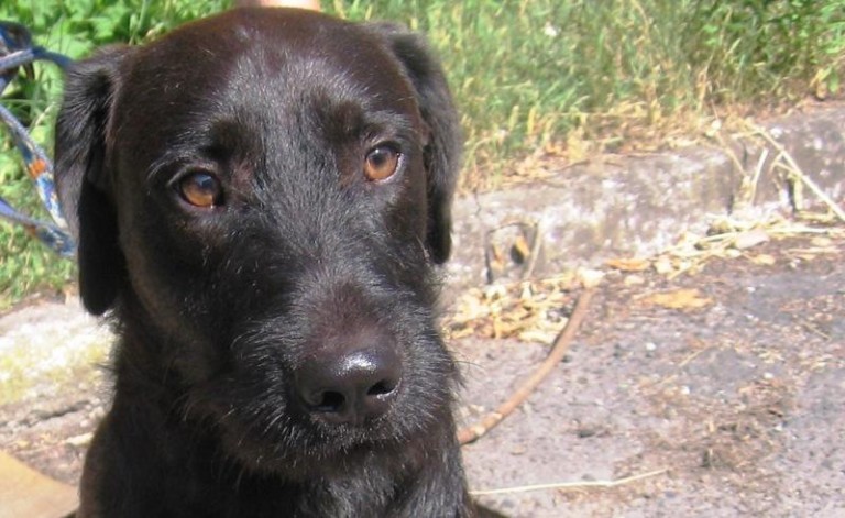 Wylądował na bruku