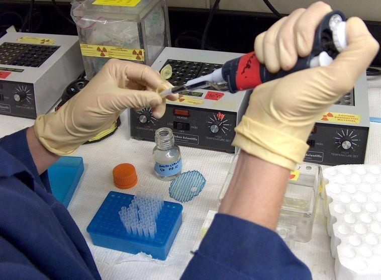 Koniec ze świńską grypą