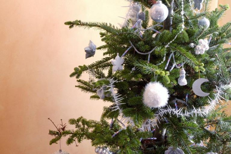 Chrześcijańskie szaleństwo i przekleństwo