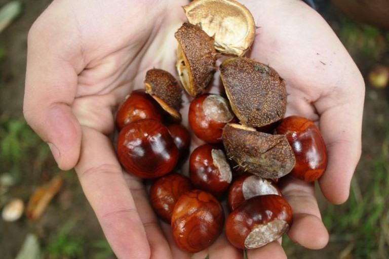 Zwariowana, ale bez anomalii