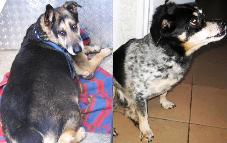 Czy ktoś je rozpoznaje?