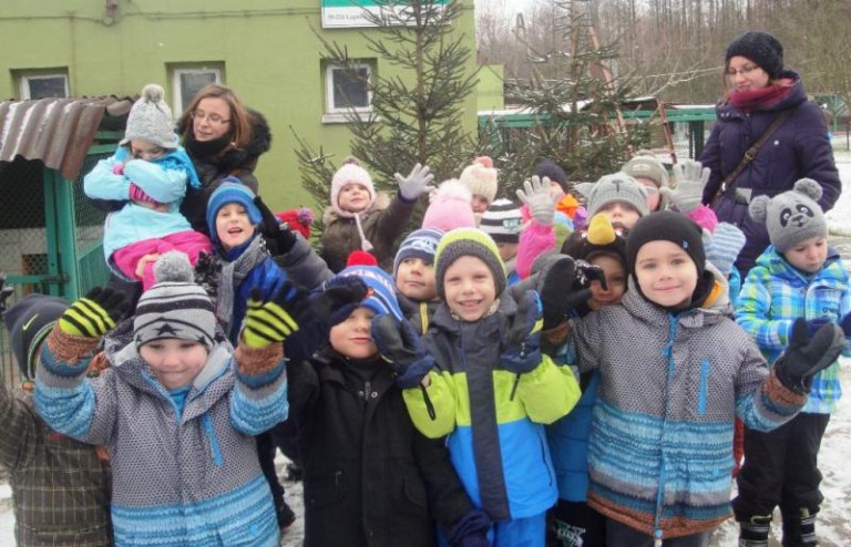 Same zebrały pieniądze na karmę