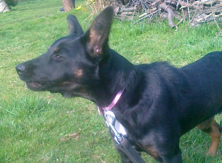 Sympatyczna, ale bezpańska