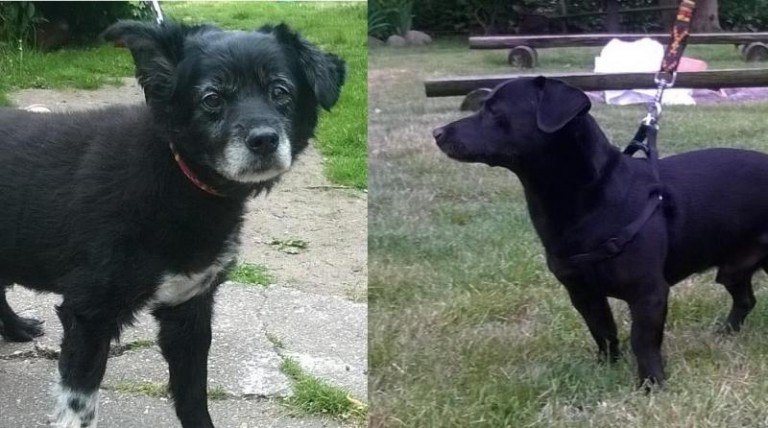 Czy ktoś ich szuka?