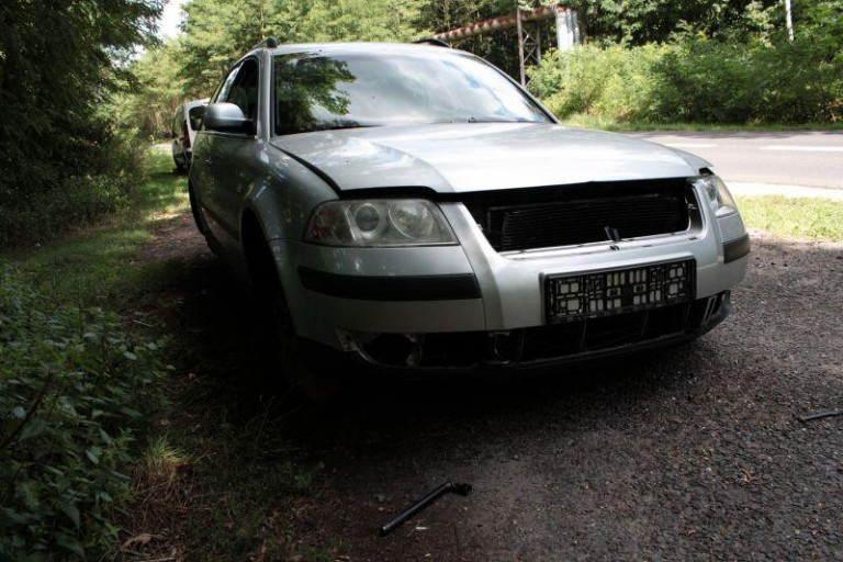 Rozkradają passata w lesie