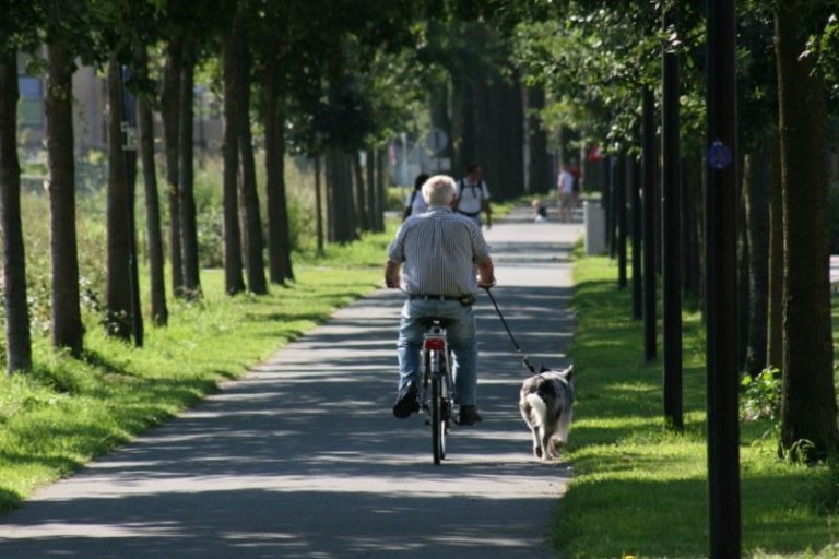 Mniejsze kary dla cyklistów z promilami