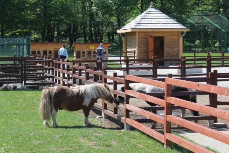 Szkodzą zwierzętom w parku