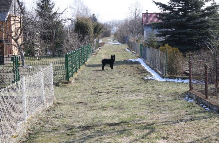 Aktywny w martwym sezonie